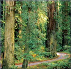 Welcome to Arcata Economic Development Corp. Tools for Business Success