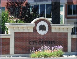 Welcome to City of Woodland Tools for Business Success